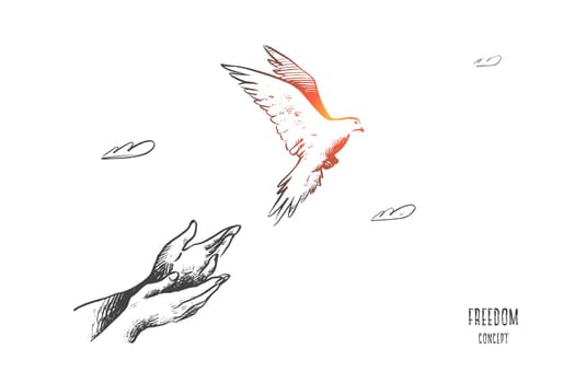 Freedom concept. Hand drawn pigeon flying out of two hands. Freedom of life, free bird enjoying nature isolated vector illustration.