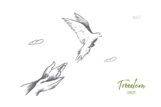 Freedom concept. Hand drawn pigeon flying out of two hands. Freedom of life, free bird enjoying nature isolated vector illustration.