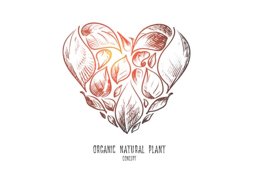 Organic natural plant concept. Hand drawn leaves in shape of heart. Symbol of green growing plants isolated vector illustration.