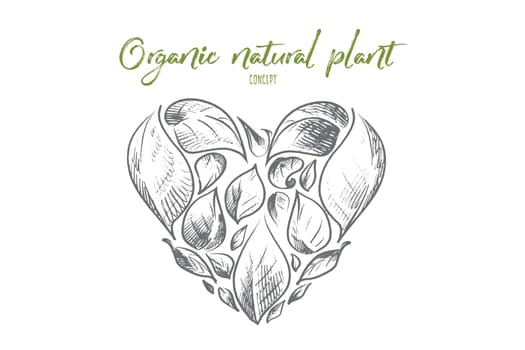 Organic natural plant concept. Hand drawn leaves in shape of heart. Symbol of green growing plants isolated vector illustration.