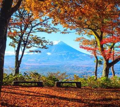 The Mountain Fuji and maple tree in Japan
