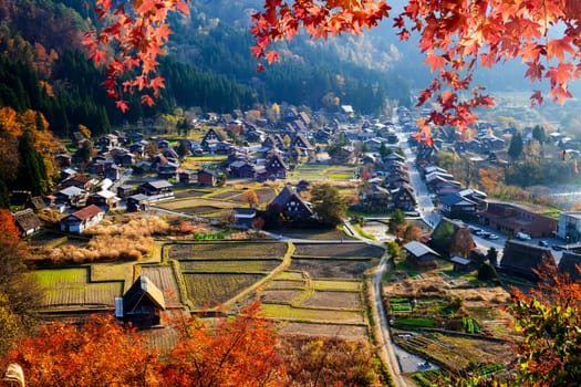 Gassho Village, Japan - Nov 11, 2014 : Gassho Village during maple season, Gassho Village, Japan