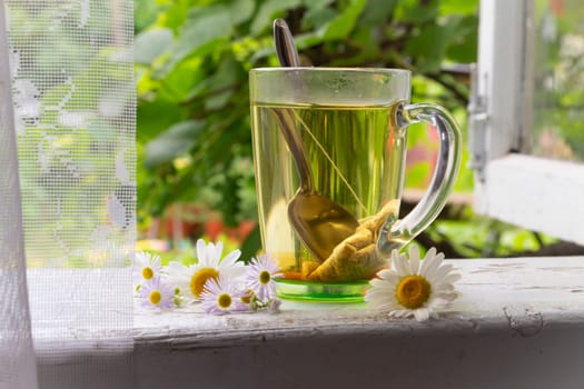 Glass cup with herbal camomile tea and camomile flowers