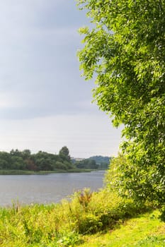 Landscape with a small river, forest in summer day. Rivers of Belarus.