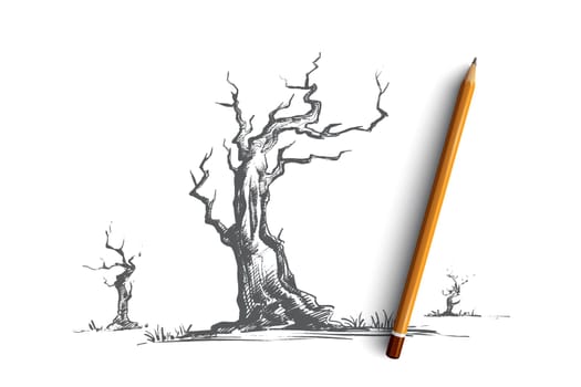 Dead trees concept. Hand drawn dry tree without leaves, old wood, ecology disaster isolated vector illustration.