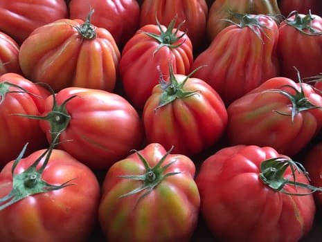 Red tomatoes