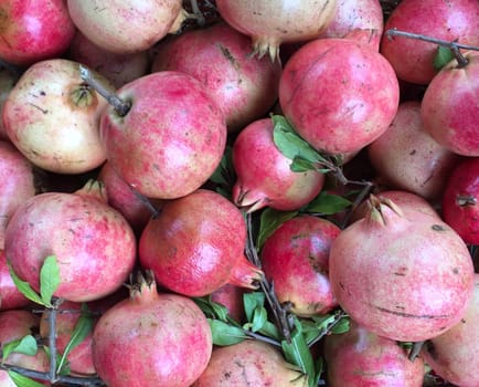 Pomegranate season is coming