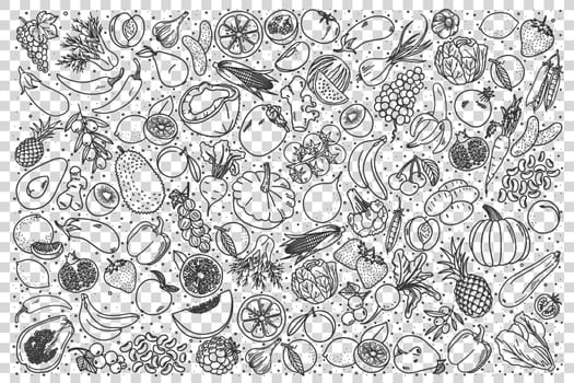 Vegan doodle set. Collection of hand drawn sketches templates patterns of vegans dieting meal natural vegetarian nutrition smoothie cocktail cereals vegetables fruits. Healthy lifestyle illustration.