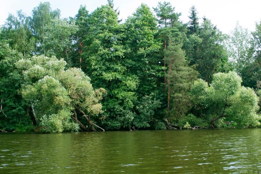 Beautiful nature place with water reflection green colourful background, board of river
