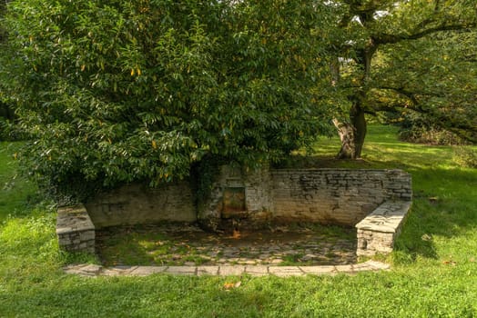 Theodorus Quelle in the sources park Kronthal, Kronberg im Taunus, Germany