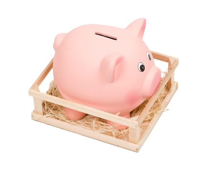 Piggy bank in small wooden corralling, isolated on white background