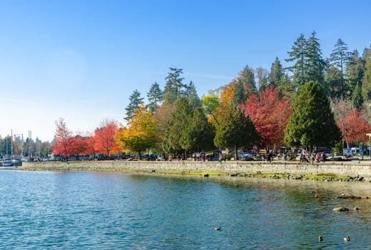 Vancouver, Canada - October 20,2018: Autumn color of Stanley Park along the seawall path in sunny day, Vancouver, British Columbia, Canada.