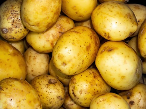 Vegetable agricultural crop of potato plant tubers. Solanum tuberosum. Raw vegetable. Healthy eating. Agricultural business. Background image. Solanaceae.