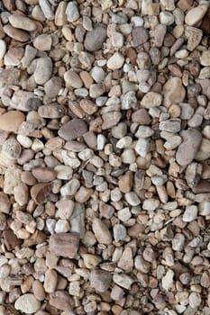 Background of small to medium size rocks, stones and pebbles along with twigs and dried grass. A variety of smooth and rough rocks, stones and pebbles in neutral colors with dried twigs and grass.