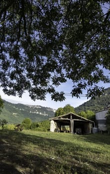 Detail of old mountain house in a forest in Spain