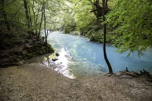 Detail of crystal clear spring water in a wild forest, nature