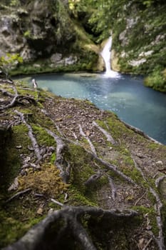 Detail of a waterfall in an ancient forest, nature