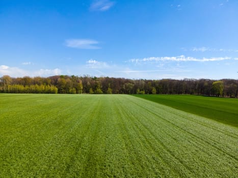 Aerial view of agricultural fields. Fields from above