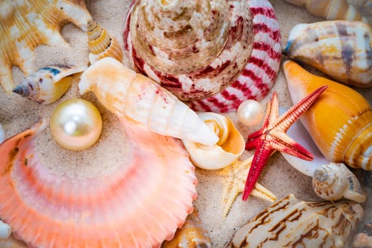 Sea pearl in shells. Beach Summer Vacation Background