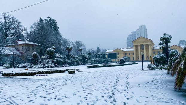 City streets in the winter. Palm trees in snow. Russia, Sochi.