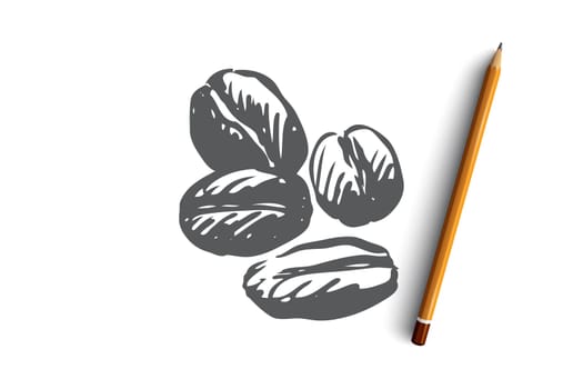 Coffee, drink, beverage, beans, roasted concept. Hand drawn roasted and fragrant coffee beans concept sketch. Isolated vector illustration.