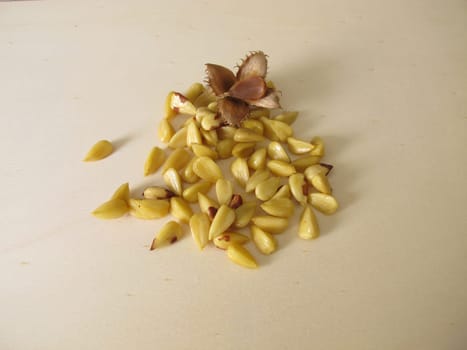 Shelled beechnuts without hull on a wooden board
