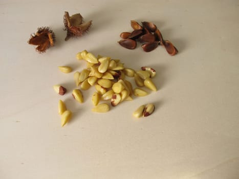 Shelled beechnuts without hull on a wooden board