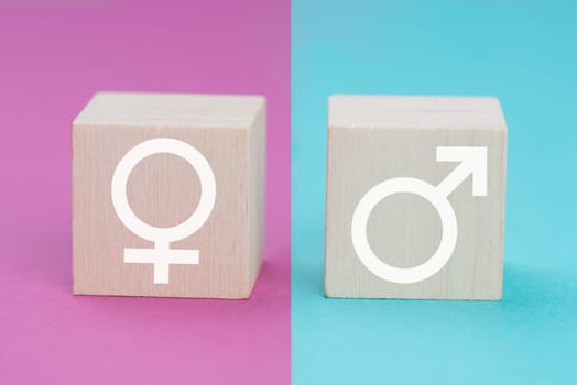 Symbols for feminine and masculine on wooden cubes, pink and blue colored background, stereotpye