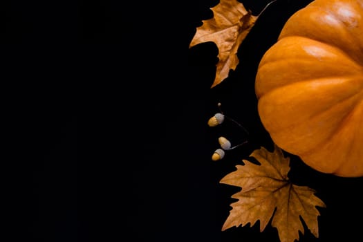 An orange pumpkin with leaves and acorns lies on a black background. High quality photo