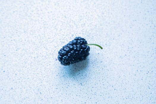 one mulberry berry on a light background. High quality photo