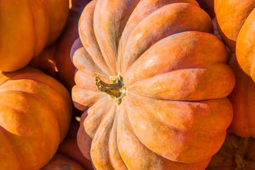 A large orange pumpkin in close - up surrounded by other pumpkins . High quality photo