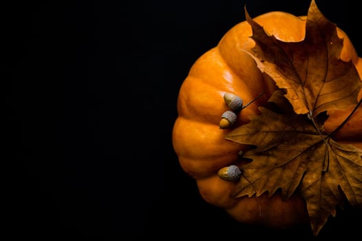 An orange pumpkin with leaves and acorns on a black background. High quality photo
