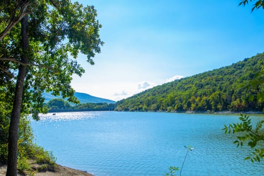 Sukko cypress Lake with cypress trees growing in the water, surrounded by forests and mountains. High quality photo