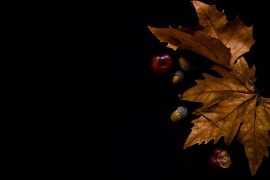 Autumn leaves, chestnuts and acorns lie on a black background. . High quality photo