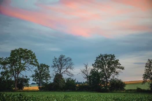 Summer landscape with field. Green fields and orange sky during the sunset, europe