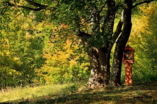 cross of a pilgrim way with autumnal painted leaves