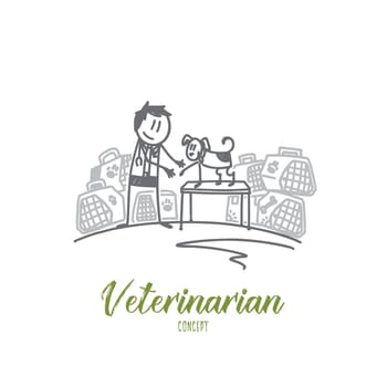 Veterinarian concept. Hand drawn veterinarian in uniform heals a dog in clinic. Animal doctor with a pet isolated vector illustration.
