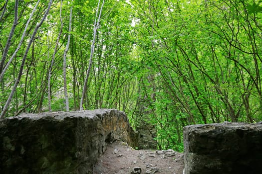 The Neckarburg castle ruins are a sight of the town of Rottweil