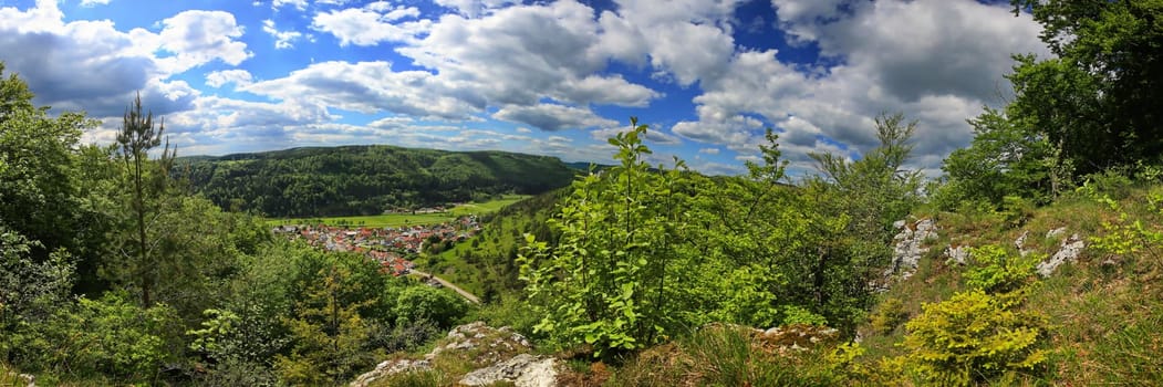 Follow the path to the edge of the forest, then the forest reveals the view