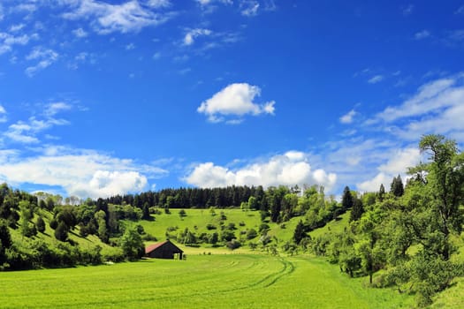 Fields and meadows are enclosed by hills covered with trees