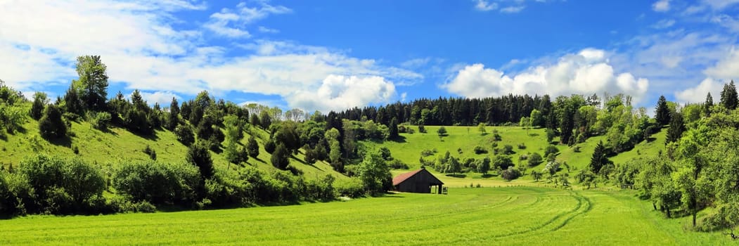 Fields and meadows are enclosed by hills covered with trees