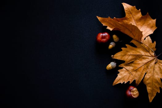 Autumn leaves, chestnuts and acorns lie on a black background. . High quality photo