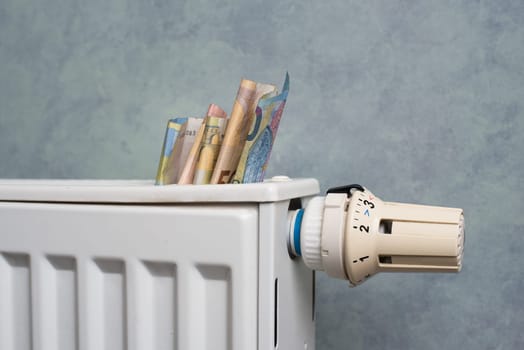 Euro banknotes in a heater, high prices for electricity, green energy politics in Germany