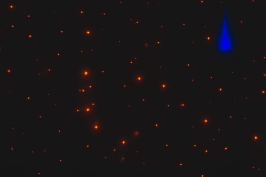 Glitter lights background. stars shine illumination