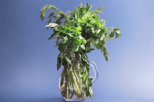 Fresh greens in jug with color background. dill and parsley bunch. green vegetables. copy space