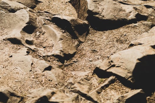 Rocky background. stones in the forest backdrop