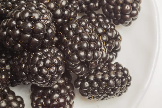 Blackberries on a plate isolated on white background. fresh berries with copy space