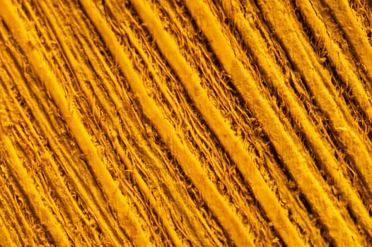 Rough wood macro texture. brown wooden material background
