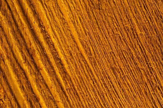 Rough wood macro texture. brown wooden material background