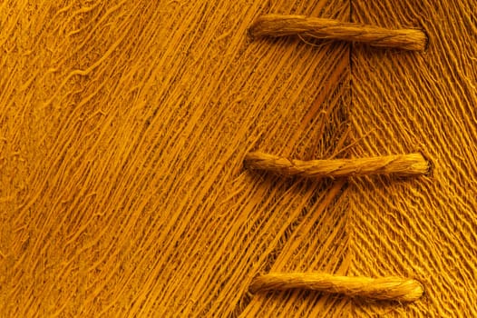 Rough wood macro texture. brown wooden material background